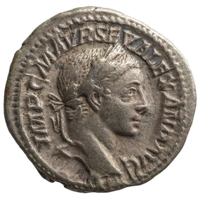 Denarius - Severus Alexander VIRTVS AVG; Virtus front
