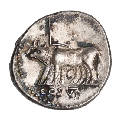 Denarius - Titus COS VI back