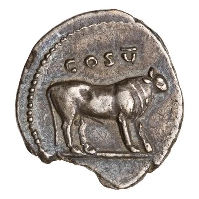 Denarius - Titus COS V back