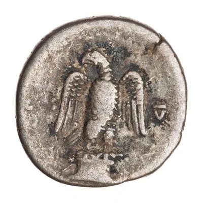 Denarius - Titus COS V back