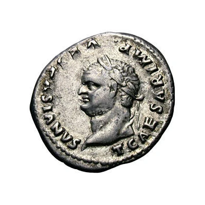 Denarius - Titus COS V front