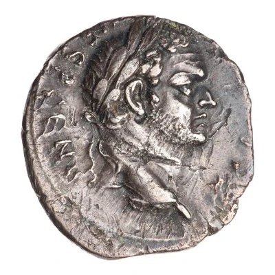 Denarius - Titus COS V front