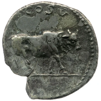 Denarius - Titus COS V back