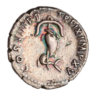 Denarius - Titus TR P IX IMP XV COS VIII P P back