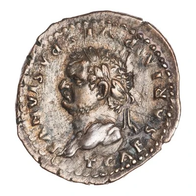 Denarius - Titus TR POT VIII COS VII front