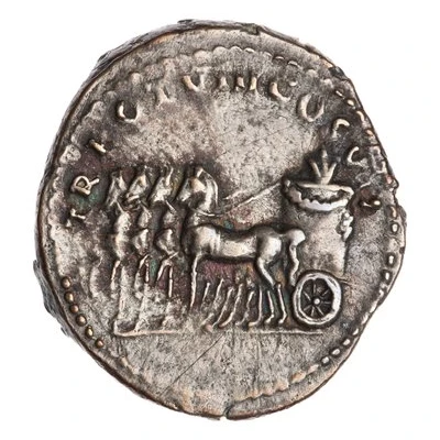 Denarius - Titus TR POT VIII COS VII back