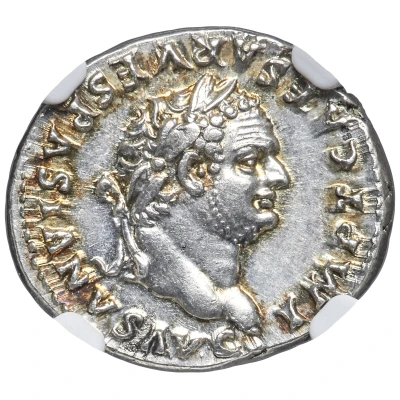 Denarius - Titus TR POT VIII COS VII front