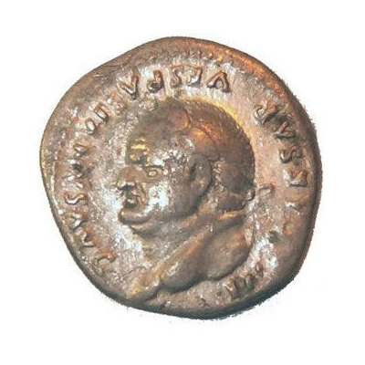Denarius - Vespasian COS VIII front
