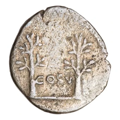 Denarius - Vespasian COS V back