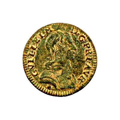 Denier Tournois - William IX front