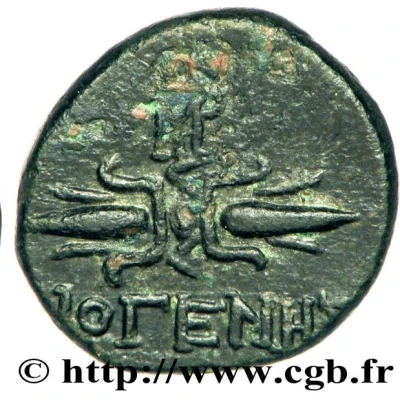 Dichalkon - Diogenes 100 BC - 50 BC back