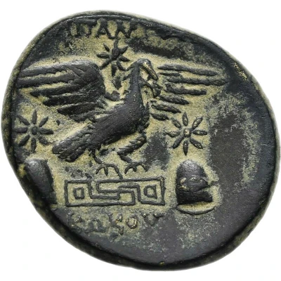 Dichalkon - Kokos 150 BC - 40 BC back