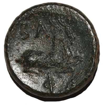 Dichalkon - Philip V 186 BC - 182 BC back