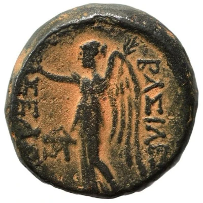 Dichalkon - Seleukos II Antioch 246 BC - 226 BC back