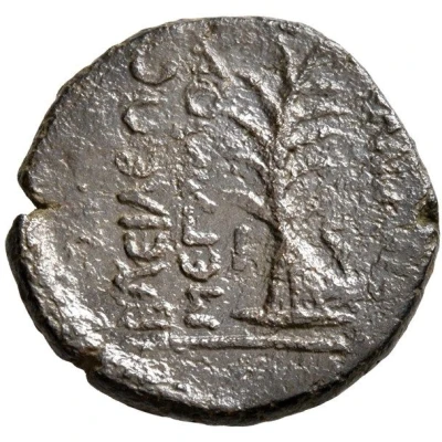 Dichalkon - Tigranes I tree 123 BC - 96 BC back