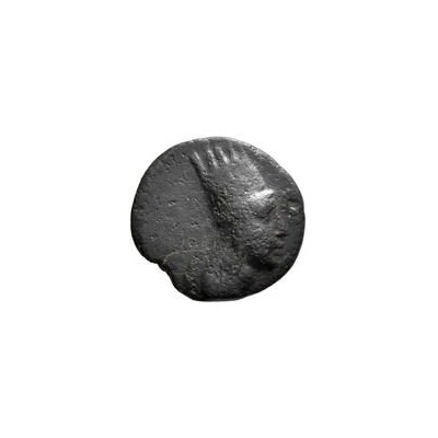 Dichalkon - Tigranes II elephant 80 BC - 68 BC front