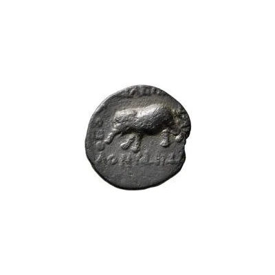 Dichalkon - Tigranes II elephant 80 BC - 68 BC back