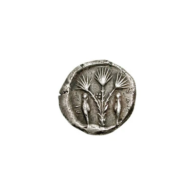 Didrachm 492 BC - 484 BC back