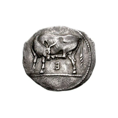 Didrachm 500 BC - 465 BC front