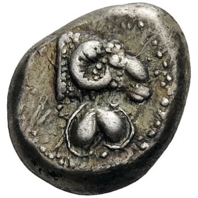 Didrachm 480 BC front