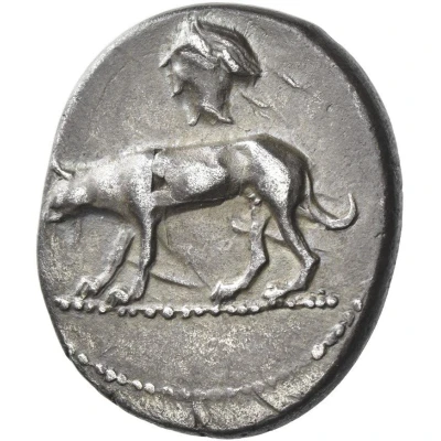 Didrachm 475 BC - 450 BC front