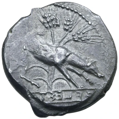 Didrachm 412 BC - 400 BC front