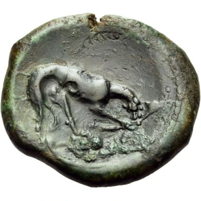 Dilitron 344 BC - 338 BC back