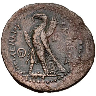 Diobol - Ptolemy II Ptolemais/Ake 266 BC - 261 BC back