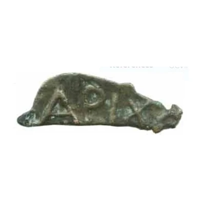 Dolphin APIXO 440 BC - 400 BC back