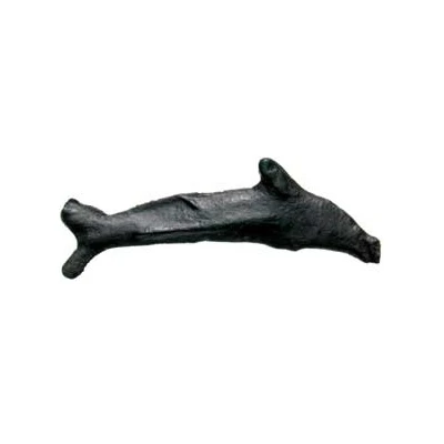 Dolphin 550 BC - 500 BC front