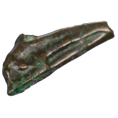 Dolphin 520 BC - 360 BC back