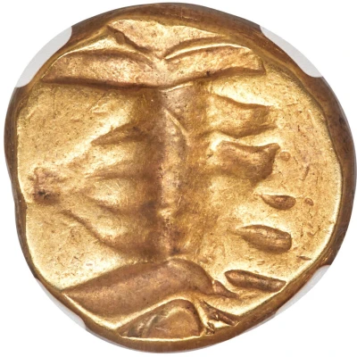 Double Daric - Temp. Mazaeus 331 BC - 328 BC back