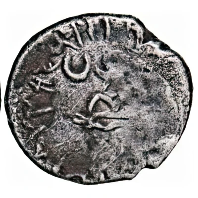 Drachm - Chashtana back