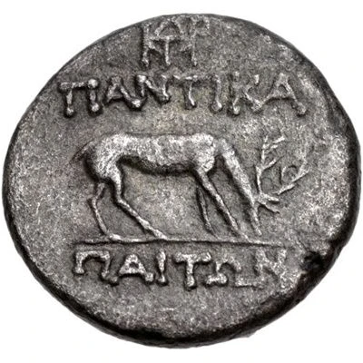 Drachm - Mithridates VI Panticapaeum 90 BC - 79 BC back