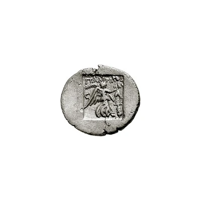 Drachm - Pamphilos 90 BC - 80 BC back