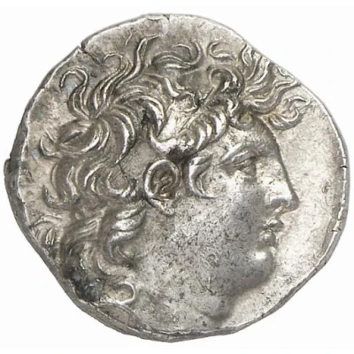 Drachm - Tryphon Antioch 142 BC - 138 BC front