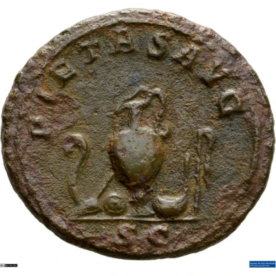 Dupondius - Gaius Julius Verus Maximus PIETAS AVG S C back
