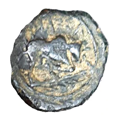 Hemiobol Bull; Palm 130 BC - 121 BC back