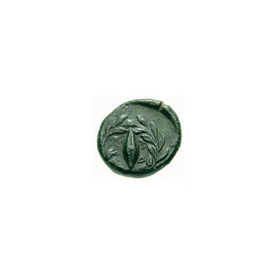 Hexas 344 BC - 336 BC back