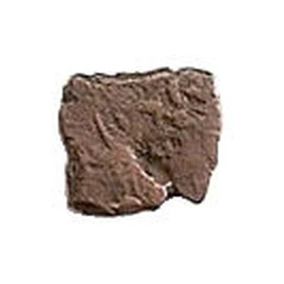 India- Ancient 340 BC - 181 BC back