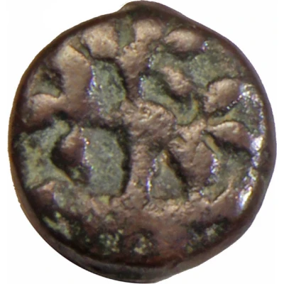 Karshapana - Maurya-Sunga Period 185 BC - 73 BC back