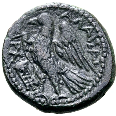 Litra 241 BC back