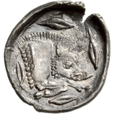 Litrai 450 BC back