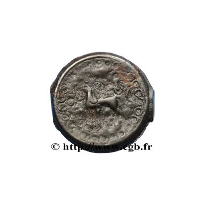 Potin with branch B Class IIIa 60 BC - 50 BC back