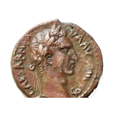Quadrans Nerva, large SC front