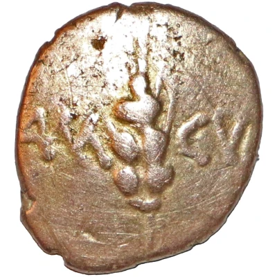 Quarter Stater - Agr front