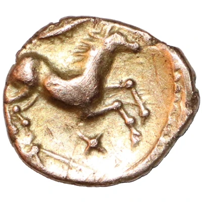 Quarter Stater - Agr back