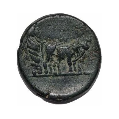 Semis - Augustus Parium 27 BC - 14 AD back