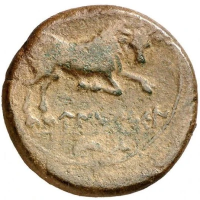 Semis legend e, dolphin 195 BC - 170 BC back