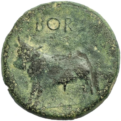 Semis 200 BC - 151 BC back